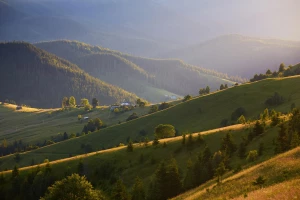 Szaleństwo survivalu: Zwiedzaj świat w stylu survivalonym i odkryj dzikie strony globu!